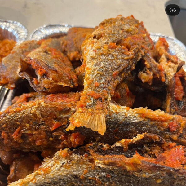 Peppered croaker fish